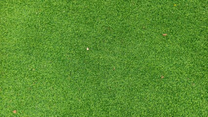 There are a few fallen leaves on the artificial turf, artificial turf background.