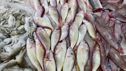 In the seafood market, chilled sea fish are sold on piles of ice.