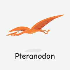 Pteranodon Dinosaur Vector Illustration with Flying Reptile © Shafura