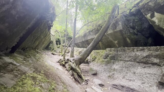 Trees grow in between the destroyed remains of Wolf's Lair