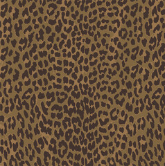 leopard skin texture background, modern fashionable print