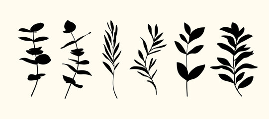 Set of hand drawn vector flowers, tropical leaves, plant, wildflower, rose. eucalyptus, branches. Collection of botanical black silhouette element vector. Abstract bouquet in minimalistic flat style.