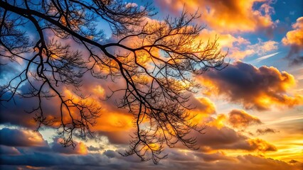 Fototapeta premium Sunset view of macro clouds behind a branch of a tree in autumn