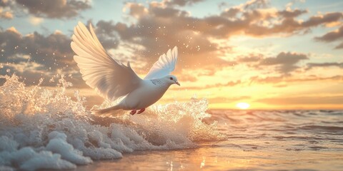 Fototapeta premium White dove flies above ocean waves at sunset.