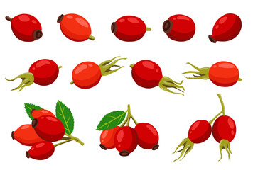 Rose Hip vector logo isolated on white background.