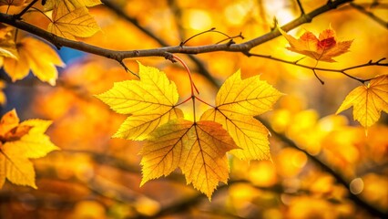 Fototapeta premium Stunning macro photography highlights brilliant yellow autumn leaves on trees, revealing nature's intricate details and the captivating beauty of the fall season in vibrant hues.