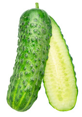 Fresh sweet small cucumber cut in half, or cucumber longitudinal section isolated on white background. Cucumbers that are used to pickling or slicing.