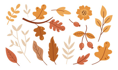 Autumn leaves and flowers clipart set. Seasonal hand drawn vector illustration in flat style