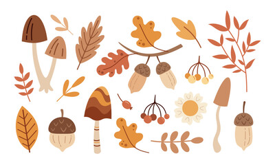 Autumn clipart set with fall leaves, mushrooms, flowers, acorns. Pastel hand drawn seasonal illustration