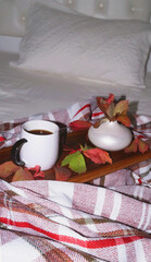 coffee in bed covered with blanket .Autumn mood. High quality photo