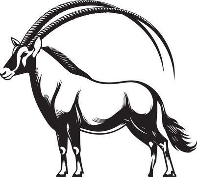 Arabian oryx big horns vector