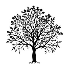 Obraz premium horse-chestnut-tree-silhouette