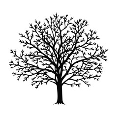  horse-chestnut-tree-silhouette