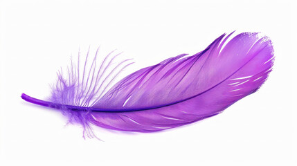 Purple feather on white background, soft and delicate, contrasting colors beautifully.
