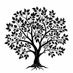 Fototapeta premium hackberry-tree-silhouette