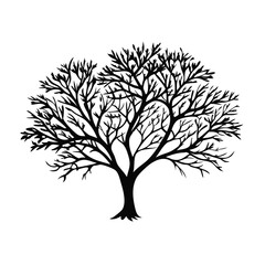Fototapeta premium fringe-tree-tree-silhouette