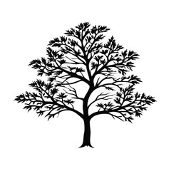 ginkgo-tree-silhouette