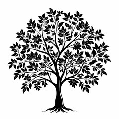 Fototapeta premium buttonwood-tree-silhouette