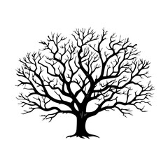 Obraz premium ebony-tree-silhouette