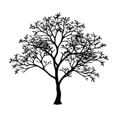 dogwood-tree-silhouette