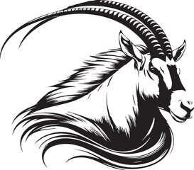 Arabian oryx big horns vector