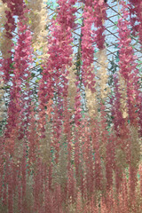 Pink and white floral textured pattern with red and white accents on a natural wood and bark surface creating an autumn-inspired wallpaper design