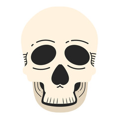 Skull with some engraving lines. Halloween. Colored HD illustration SVG format vector graphic, editable 5 colors