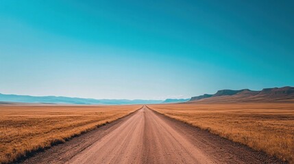 A long, straight dirt road stretches out through a vast, open field towards a distant mountain range, under a clear blue sky.