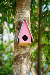 Colorful Birdhouse on a Tree Trunk