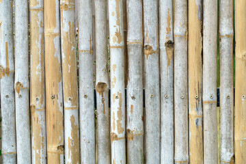 Textured Bamboo Wall with Natural Patterns