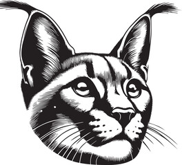 Carcal cat vector