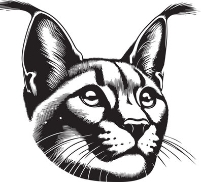 Carcal cat vector