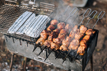 Cooking meat on the grill. Fried shashlik, barbecue with marinade on the fire. Food photography.