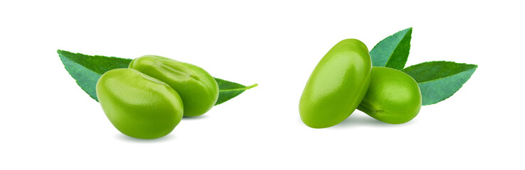 fresh soybeans