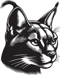 Carcal cat vector