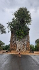 Obraz premium Ruínas da Igreja do Senhor Bom Jesus de Matozinhos, no Distrito de Barra do Guaicuí, em Várzea da Palma, Minas Gerais. Construção está abraçada por raízes de árvore