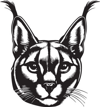 Carcal cat vector