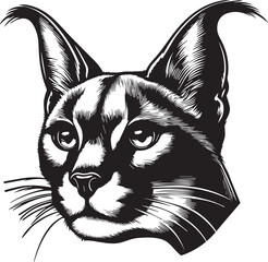 Carcal cat vector