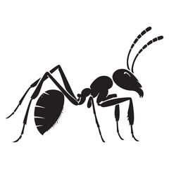 Ant art drawing printable silhouettes vector design transparent background