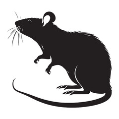 Rat silhouette isolated on white background. Vector illustration