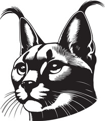 Carcal cat vector