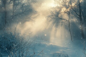 Sunbeams pierce through a snowy forest, creating a magical winter scene.