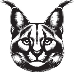 Carcal cat vector