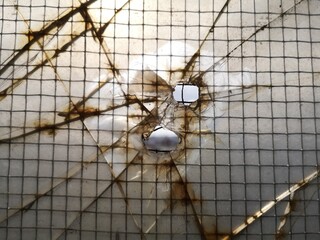 Shattered Glas 3