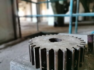 Gear