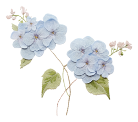 PNG Embroidery of hydrangea flower plant leaf.