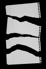 Torn Graph Paper Pieces on Black Background
