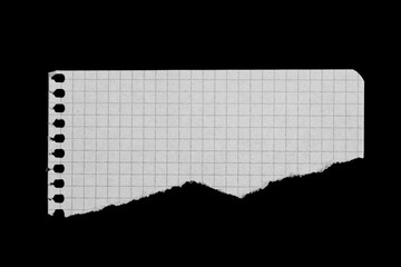 Torn Graph Paper Pieces on Black Background