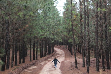 Fototapeta premium mulher caminhando em estrada de terra com pinheiros nas laterais 