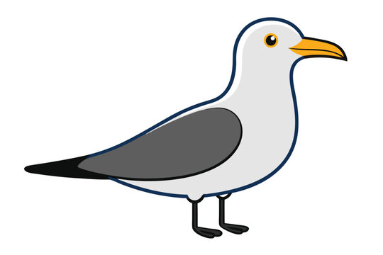 recommend clip art: Solid color Ring-billed Gull animal vector design